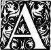 The Letter A